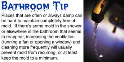 Tip for bathroom mold cleanup
